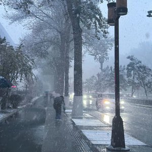 女fyee牲zozo交体内谢
